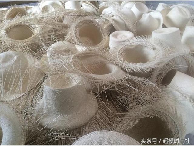 明星们的服装搭配（明星出行必备皇室成员最爱）(14)