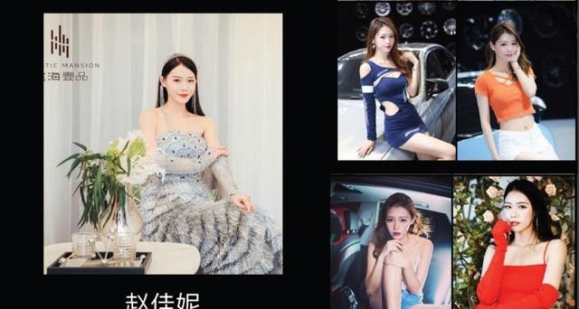 车展嫩模琳琳介绍（上海车模盘点集锦）