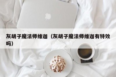 ​灰胡子魔法师维迦（灰胡子魔法师维迦有特效吗）