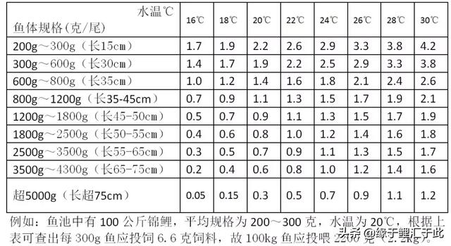 怎样饲养锦鲤的方法（不同季节如何饲养锦鲤）(3)