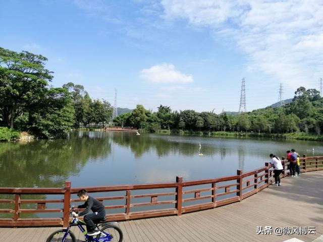 深圳凤凰山森林公园适合爬山吗（深圳免费自由行--深圳凤凰山森林公园旅游攻略）(8)