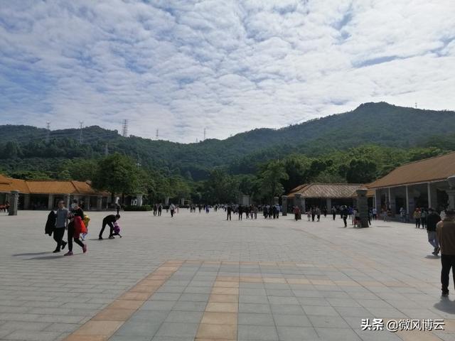 深圳凤凰山森林公园适合爬山吗（深圳免费自由行--深圳凤凰山森林公园旅游攻略）(4)