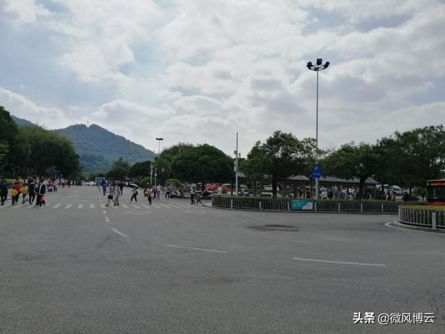 深圳凤凰山森林公园适合爬山吗（深圳免费自由行--深圳凤凰山森林公园旅游攻略）(3)
