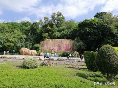 ​深圳凤凰山森林公园适合爬山吗（深圳免费自由行--深圳凤凰山森林公园旅游攻略