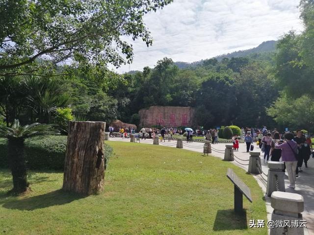 深圳凤凰山森林公园适合爬山吗（深圳免费自由行--深圳凤凰山森林公园旅游攻略）(7)