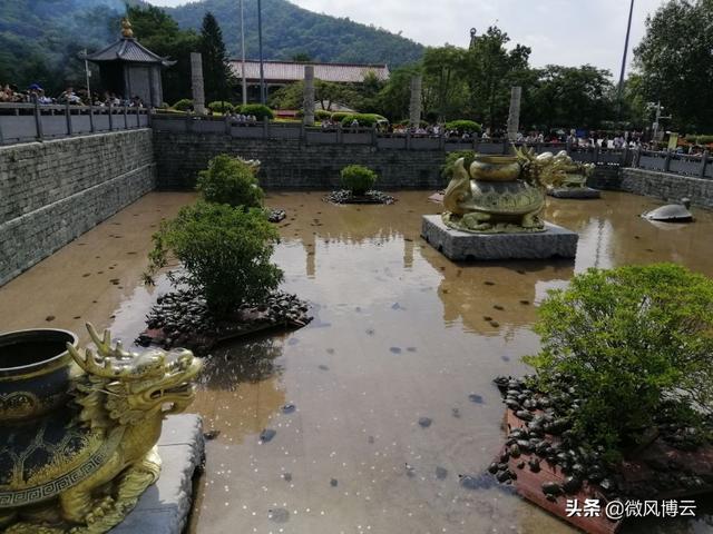 深圳凤凰山森林公园适合爬山吗（深圳免费自由行--深圳凤凰山森林公园旅游攻略）(21)