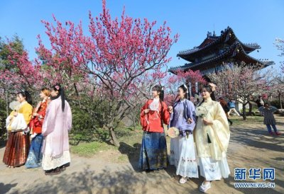 ​南京国际梅花节开幕