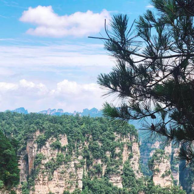 阿凡达取景地张家界大峡谷(因阿凡达被世界所知)(4)