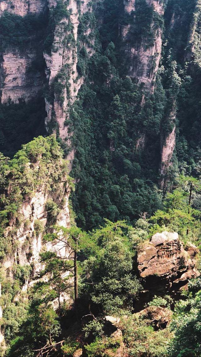 阿凡达取景地张家界大峡谷(因阿凡达被世界所知)(8)