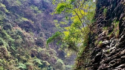 受不了了!中国男人娶了蒙古国女人之后为啥都这样说?