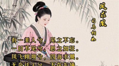 ​经典诗词诵读：古人笔下的爱情司马相如之《凤求凰》