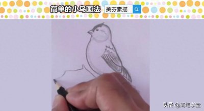 初级素描快速入门教程,简单几笔画一只可爱小鸟铅笔画,适合新手