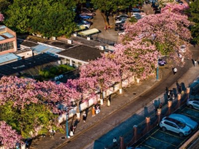 解读211师范类型院校——华南师范大学!