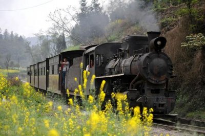 为什么中国不宣传王阳明(为何阳明心学不被重视)