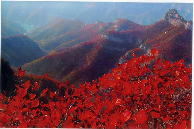 河南旅游景点地图(河南首推的9个王牌山水景观)(3)