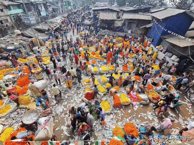 印度旅游攻略大全及感受(印度不只有脏乱差)(9)