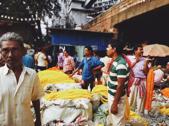 印度旅游攻略大全及感受(印度不只有脏乱差)(7)