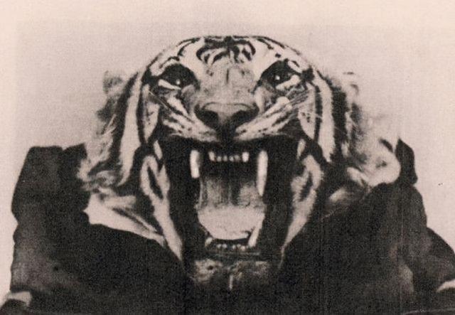 最近老虎咬死人的事件发生在哪里(河南南阳两只老虎咬死饲养员)(11)