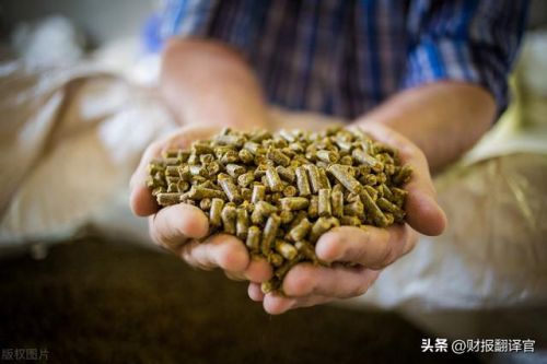 饲料级磷酸氢钙多少钱一吨(饲料级磷酸氢钙价格行情)-第1张图片-