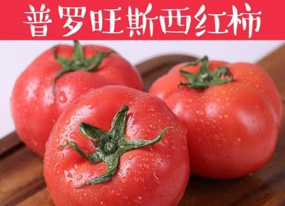 揭秘普罗旺斯西红柿为什么卖的这么火