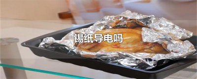 ​锡纸导电吗