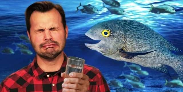 海水鱼放在淡水中会怎样,把海水鱼扔到淡水里,结果会怎样呢?图4