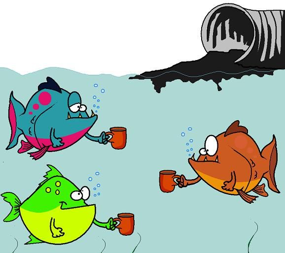 海水鱼放在淡水中会怎样,把海水鱼扔到淡水里,结果会怎样呢?图6