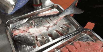 海水鱼放在淡水中会怎样,把海水鱼扔到淡水里,结果会怎样呢?图1