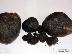 我们知道的毒品知识(毒品小知识)(1)