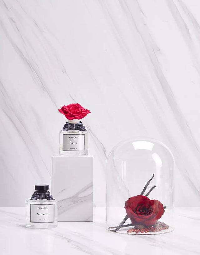 圣诞节应该送点什么礼物好呢（圣诞节最用心的送礼list清单）(9)