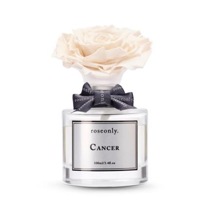 圣诞节应该送点什么礼物好呢（圣诞节最用心的送礼list清单）(7)