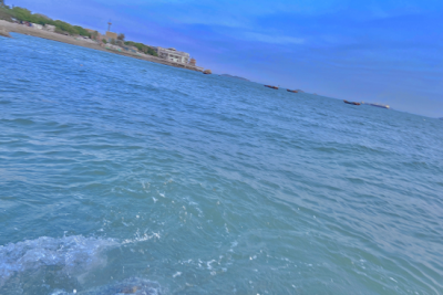 ​MPA录取类别中的定向就业和非定向就业有什么区别?