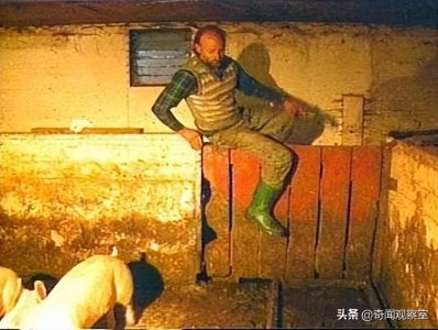 ​白天宰猪卖猪，晚上开派对猎杀女性，大型养猪场成了人间炼狱