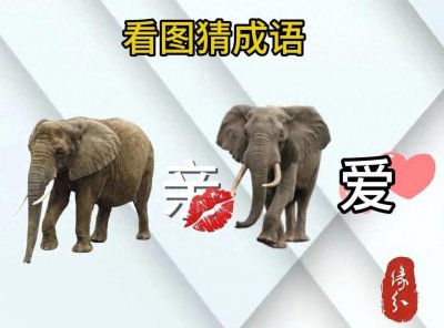 ​看图猜成语【第八期】，仔细观察图片，答案就在图片中！！