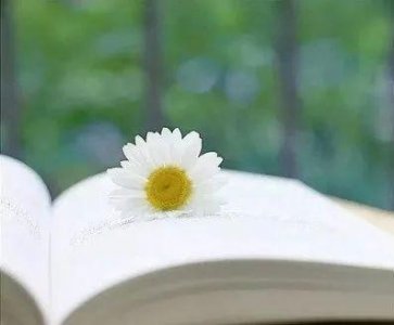 ​姜玉武：岁尾年头抒怀（小令一束）