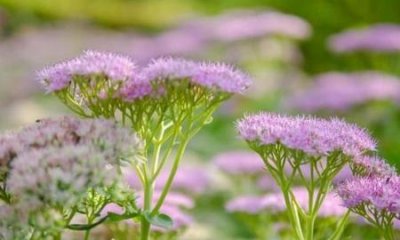 ​如何培养自己的教育情怀(我的教育情怀演讲稿)