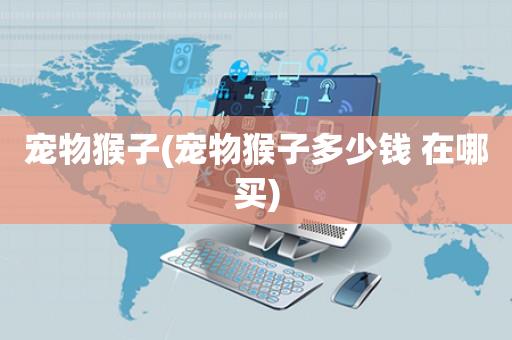 宠物猴子(宠物猴子多少钱 在哪买)