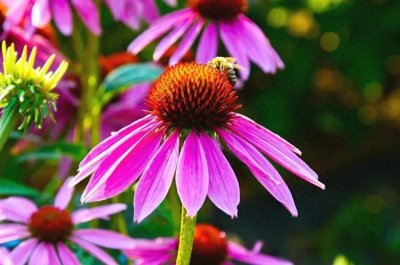 ​26个简短精辟的励志正能量句子，句句激励人心，催人奋进