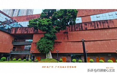 ​广东行游影记（46）—广州南越王宫博物馆（七）