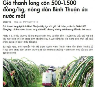 ​火龙果收购价格跌至1毛钱一斤，出口大国越南，到底犯了什么错？