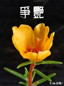 ​股市早8点丨今天走势特别关键