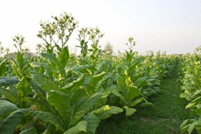 ​公共场所禁烟，高铁站、公园、医院等公共场抽烟该不该禁止