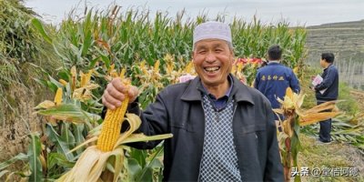 ​佛学、道学之间的差距是什么呢？