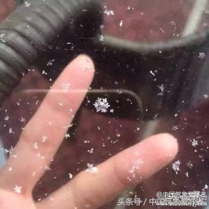 ​一年前的这个时候，广州下雪了