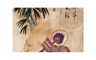 ​台州椒江鲜花案牍抖音（椒江花店电话号码）