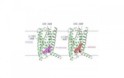 ​在夜店坚持做纯爱战士的我，遇上了一个段位不低的海后