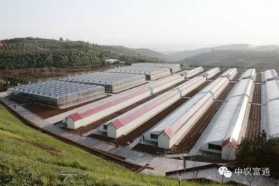 ​设施园艺：农业工程领域的后起之秀