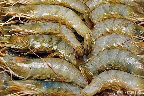 南美对虾和基围虾（对虾基围虾南美白对虾）(8)