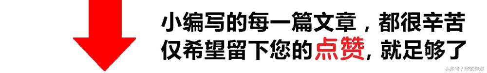 干蟾皮的功效与作用（蟾蜍的十五大功效）(5)