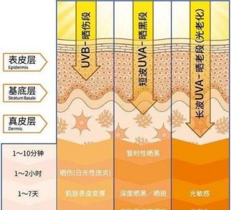 ​隔离是涂在防晒之前还是防晒之后(防晒霜刺激皮肤吗)